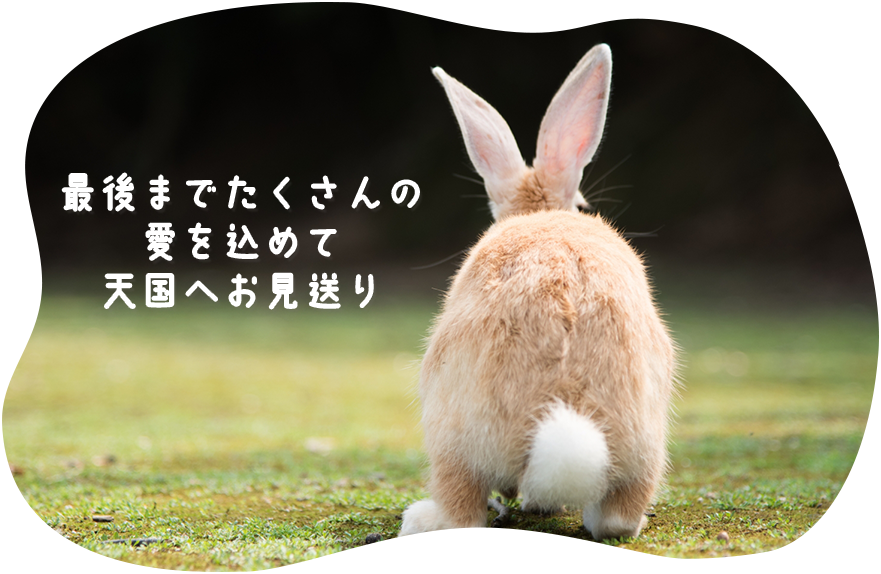 一般社団法人 日本愛玩動物葬祭協会 ペット葬儀 札幌